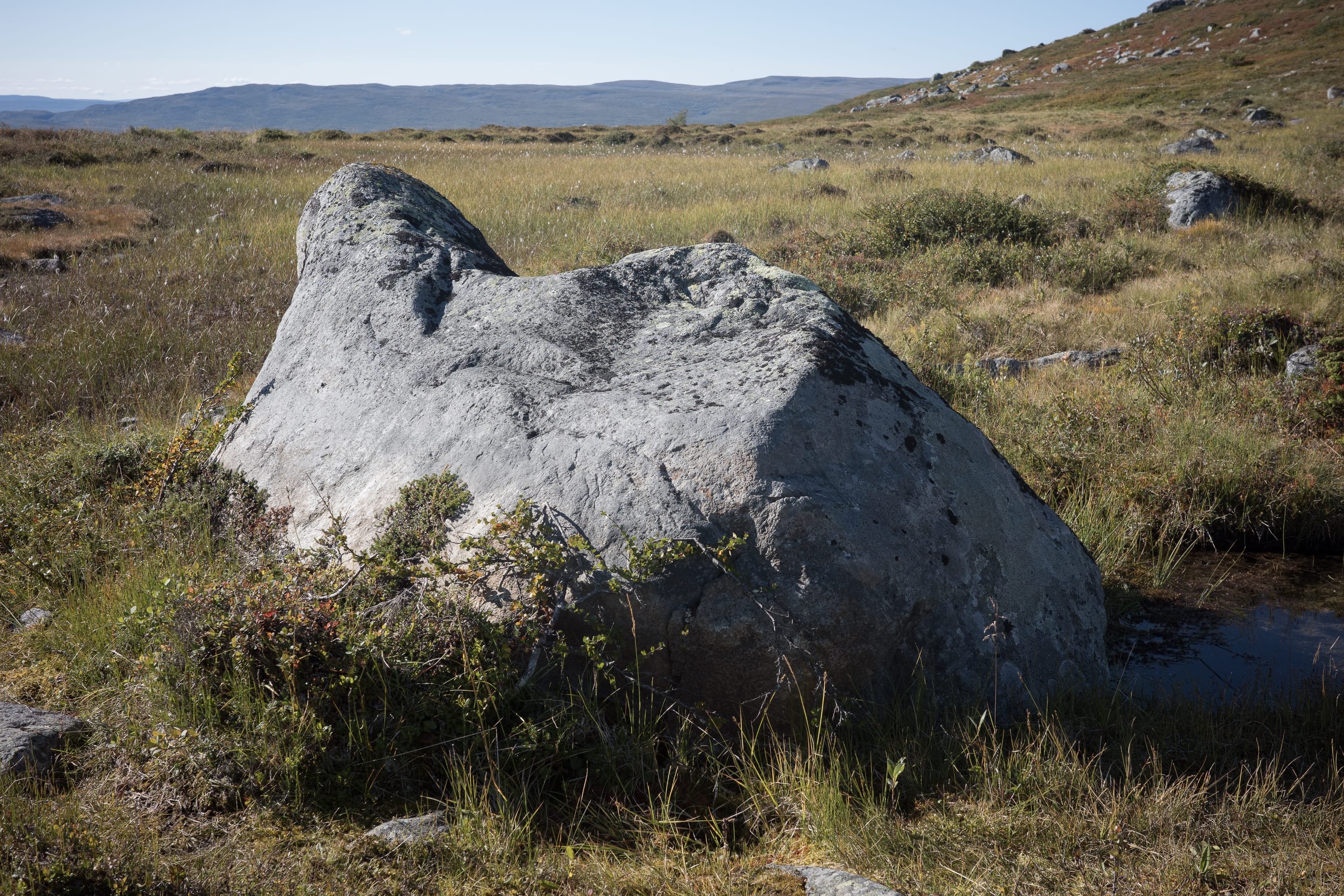 Rock and Water in September 2023.