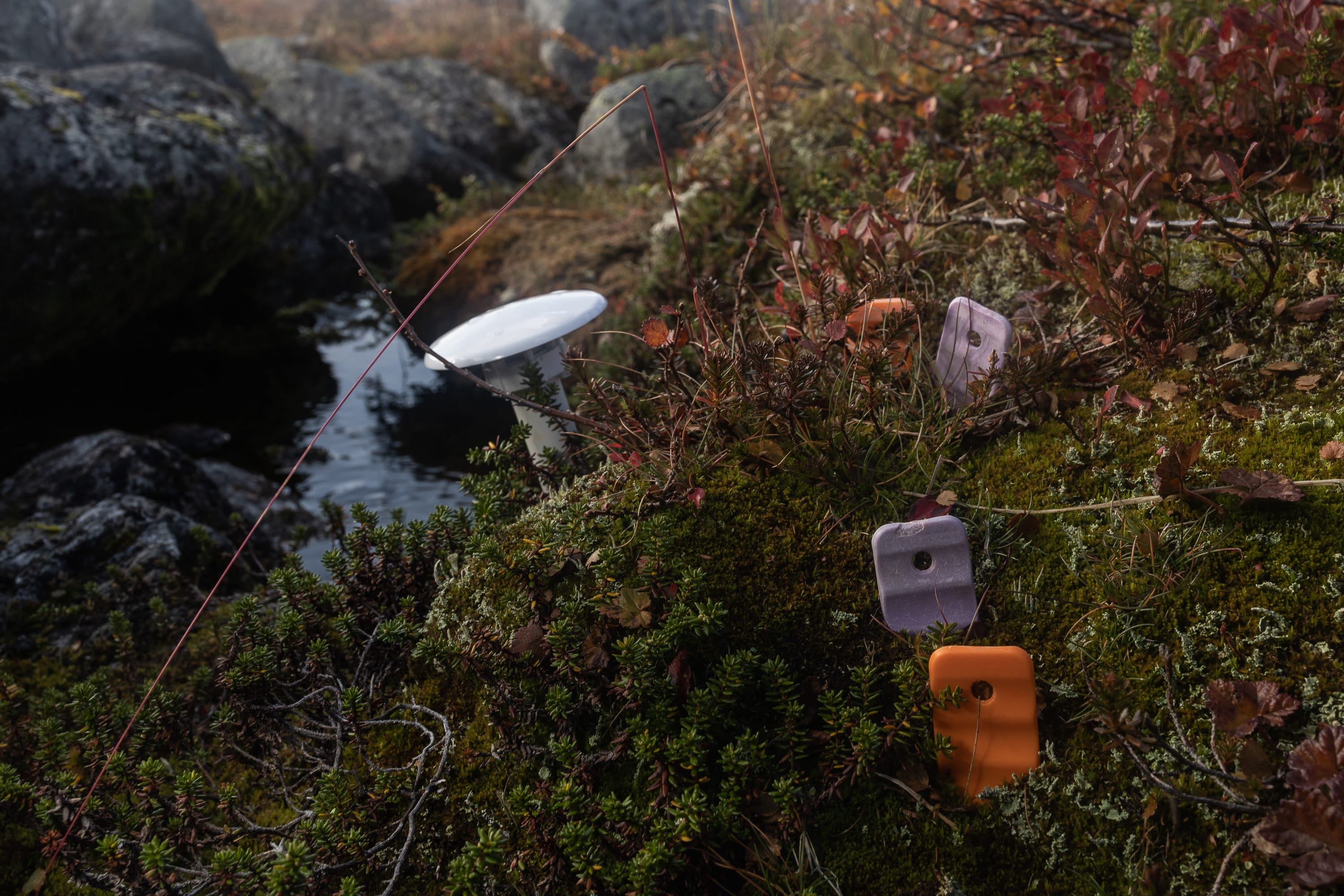 Artificial mushroom to measure and log temperature and soil moisture.